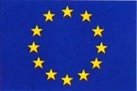 Bandiera Europea Bandiera Europea
